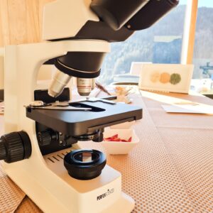 Bon cadeau | Atelier Art et Sciences (pour enfant -16ans)